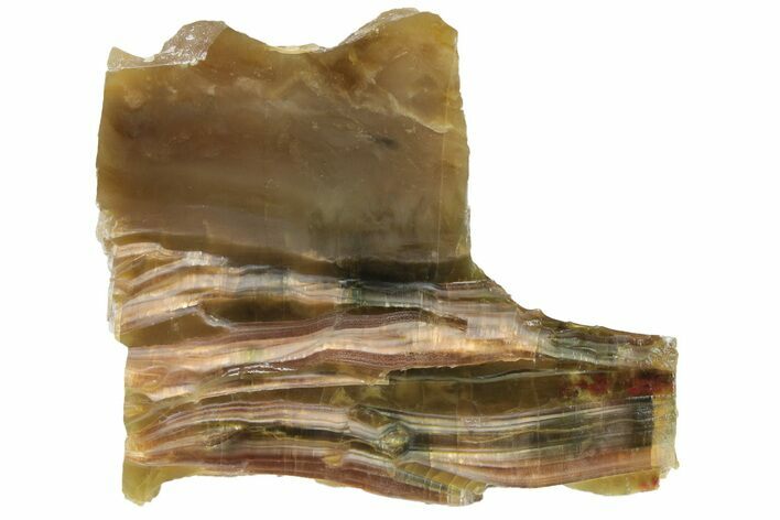 Chatoyant, Polished Pietersite Slab - Arizona #227855